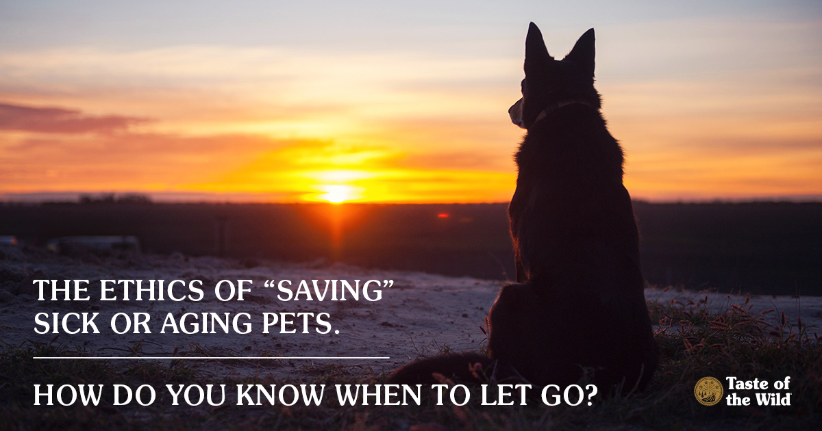 Ethics of “saving” sick or aging pets