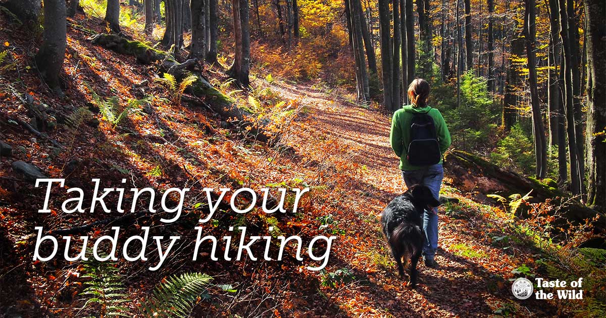 Woman Hiking with Her Dog Text Graphic | Taste of the Wild