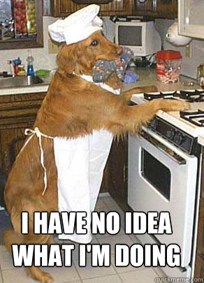 Meme of Golden Retriever Dog Dressed as Chef Not Sure of What He Is Doing | Taste of the Wild