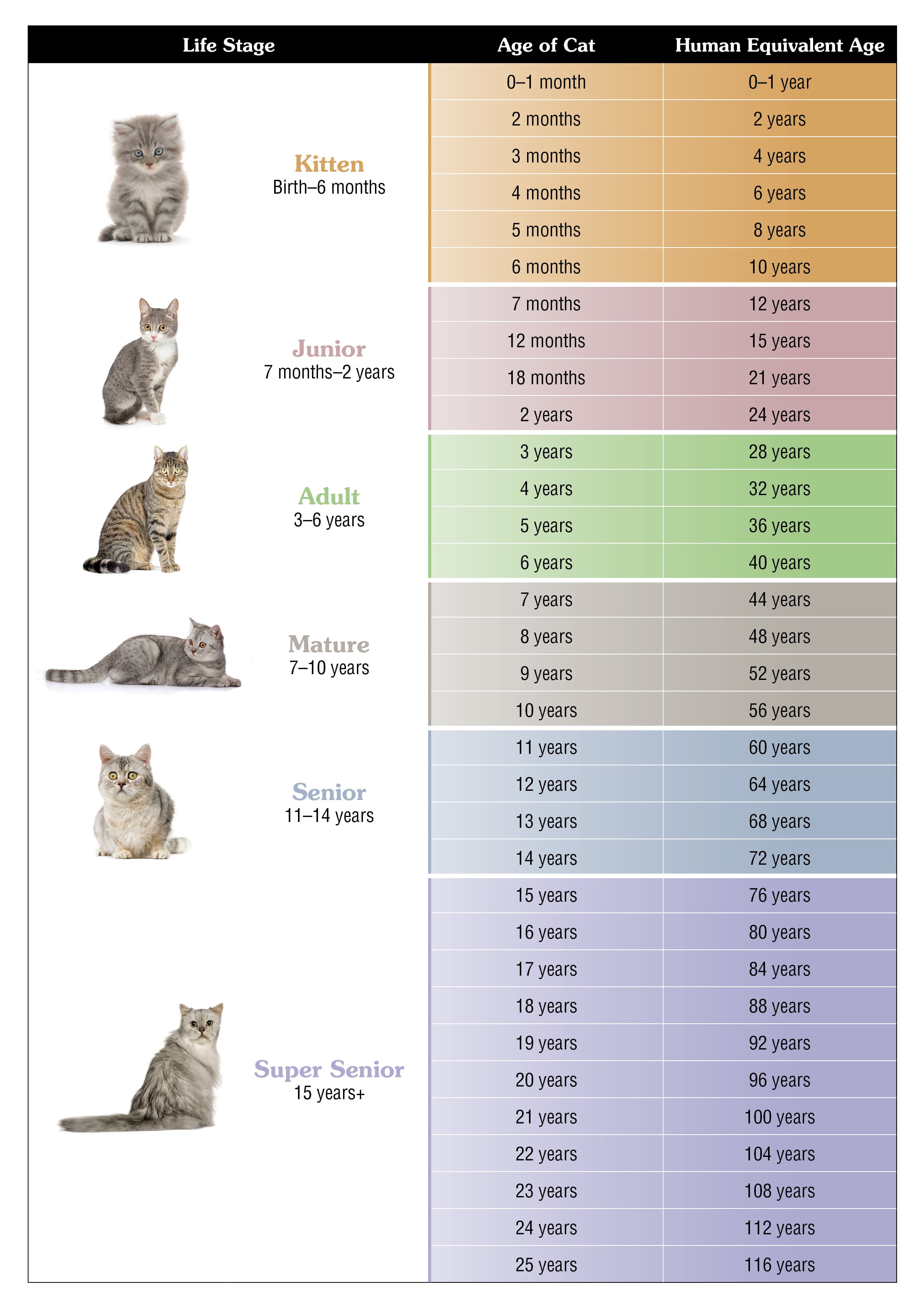 Cat vs. Human Age Chart | Taste of the Wild