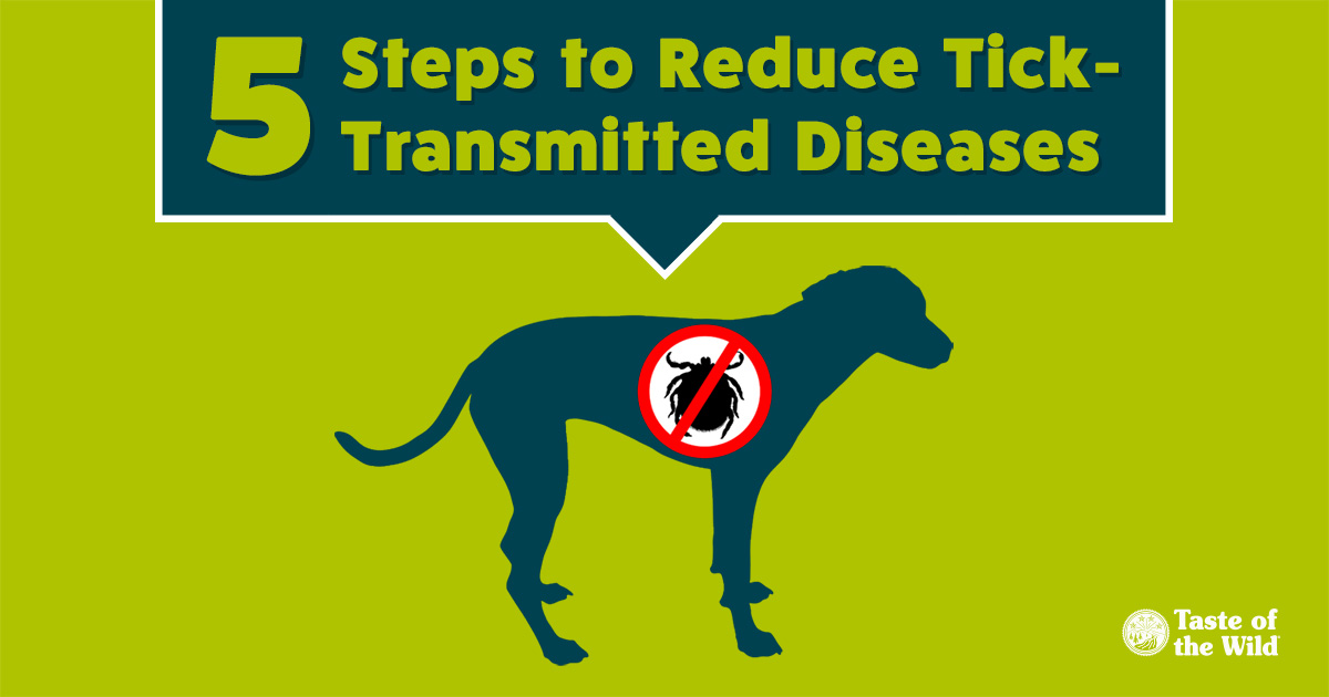 5 Tips to Reduce Tick-Transmitted Diseases | Taste of the Wild