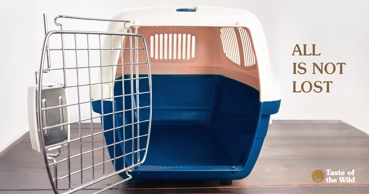 Empty Plastic Dog Crate for Small Dogs | Taste of the Wild Pet Food