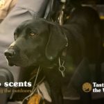 Wildlife Management Officer with His Black Labrador Retriever K9 Partner | Taste of the Wild Pet Food