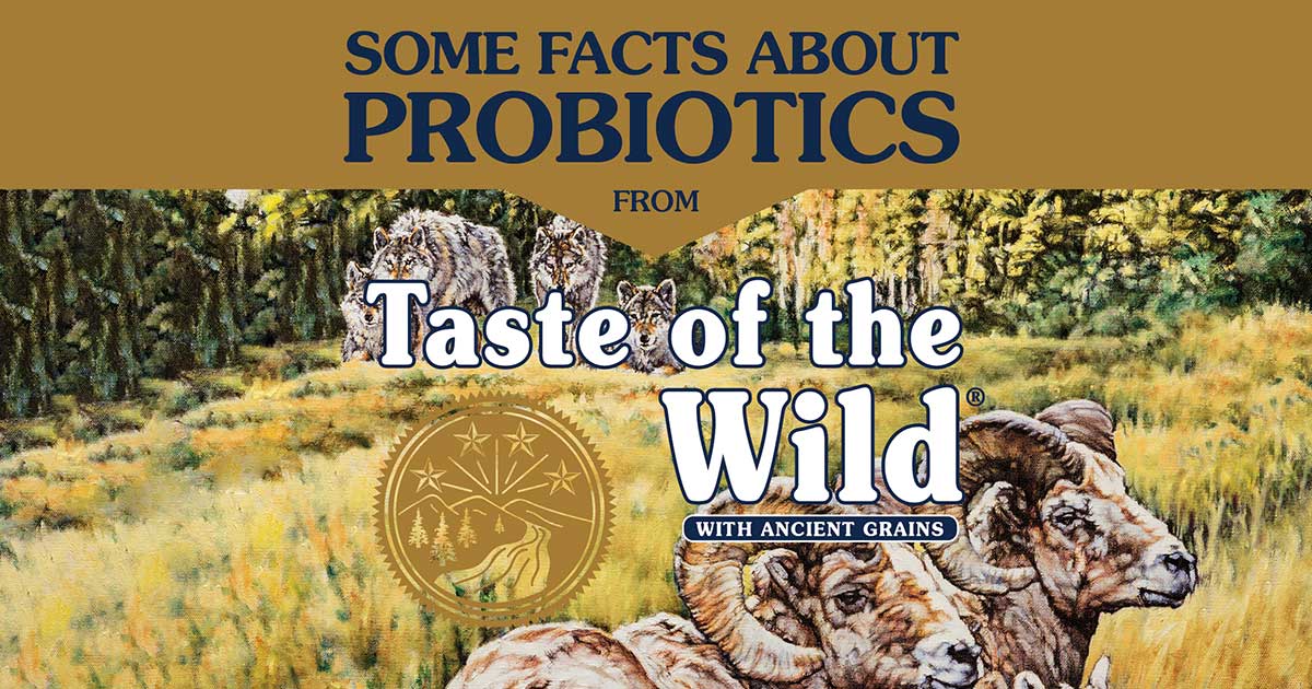 Some Facts About Probiotics Infographic | Taste of the Wild Pet Food