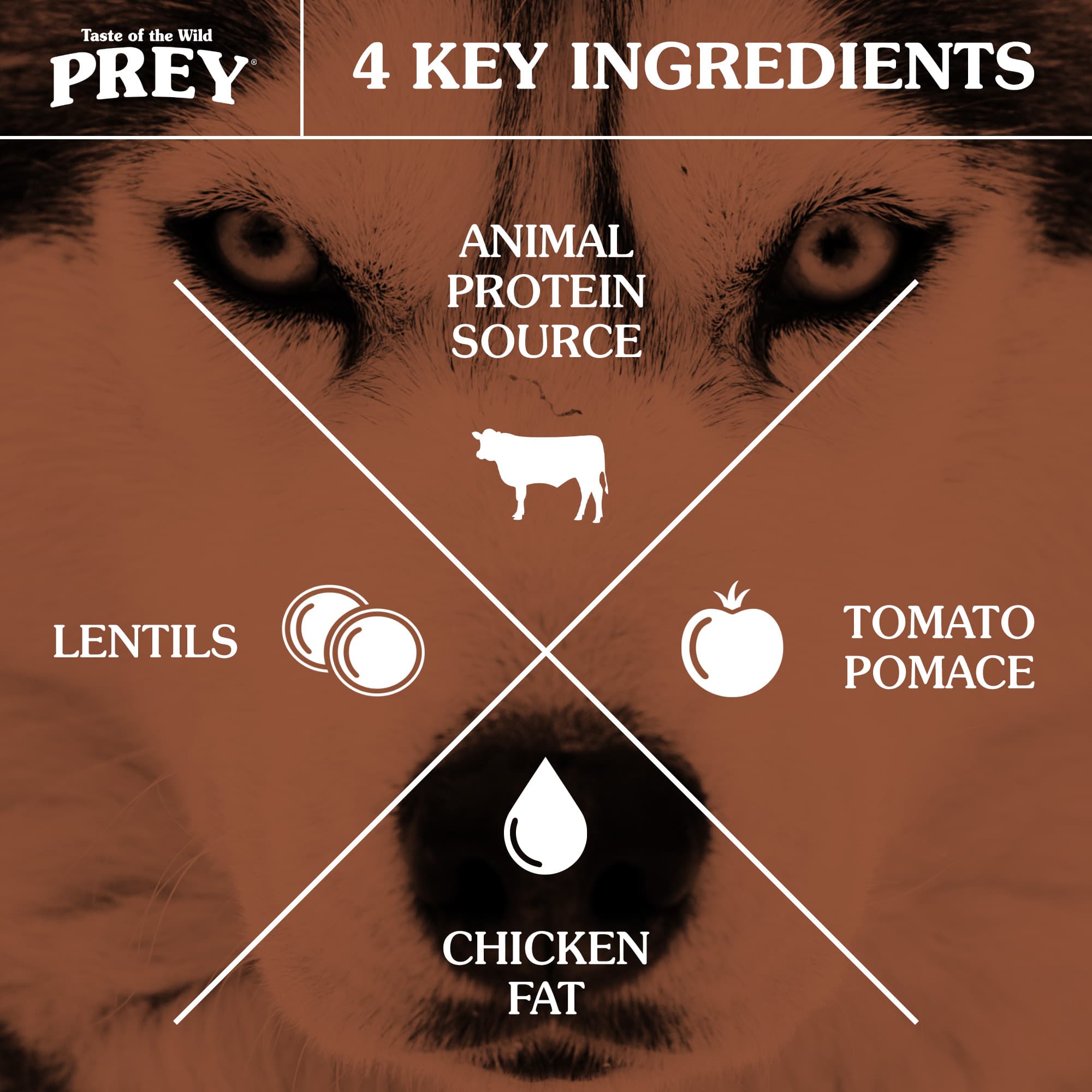 4 Key Ingredients for Dogs: Animal Protein Source, Tomato Pomace, Sunflower Oil and Lentils