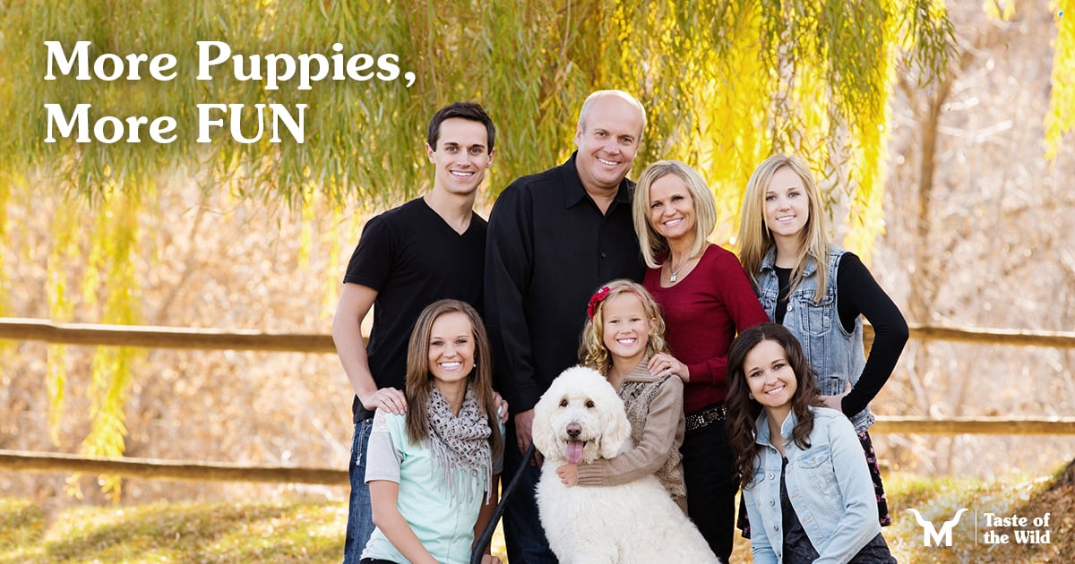 Matthews Family Posing Outside With Their Goldendoodle | Taste of the Wild
