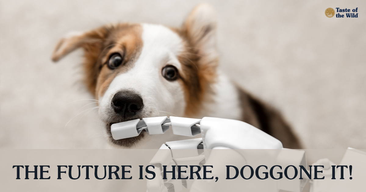 Brown and White Dog Biting the Finger of a Robot Hand | Taste of the Wild
