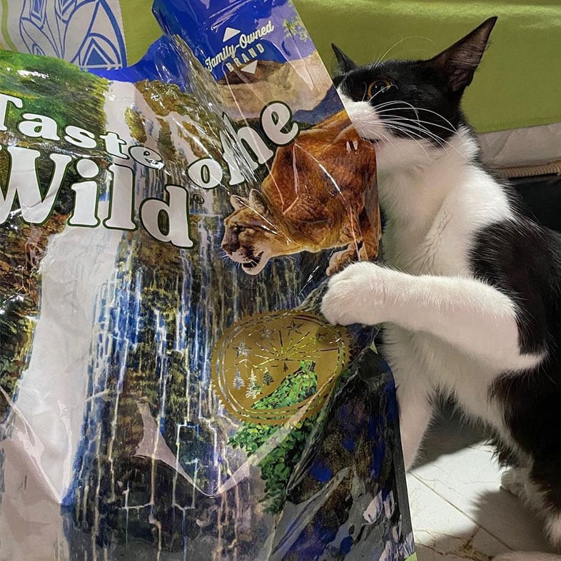 Cat Biting the Side of a Taste of the Wild Food Bag | Taste of the Wild