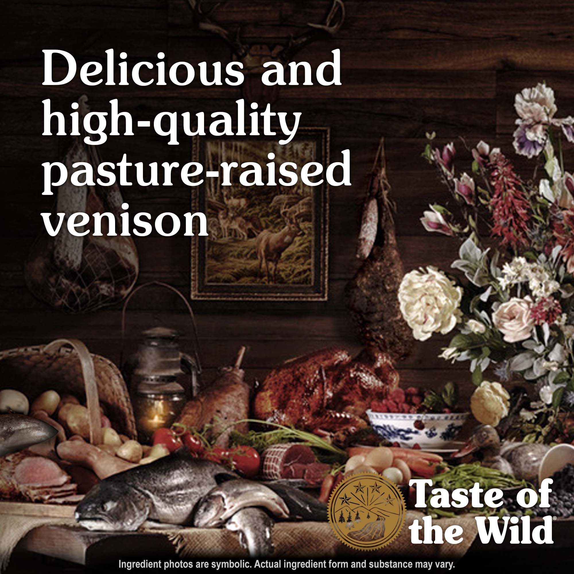 Pine Forest Canine Recipe with Venison & Legumes Protein | Taste of the Wild