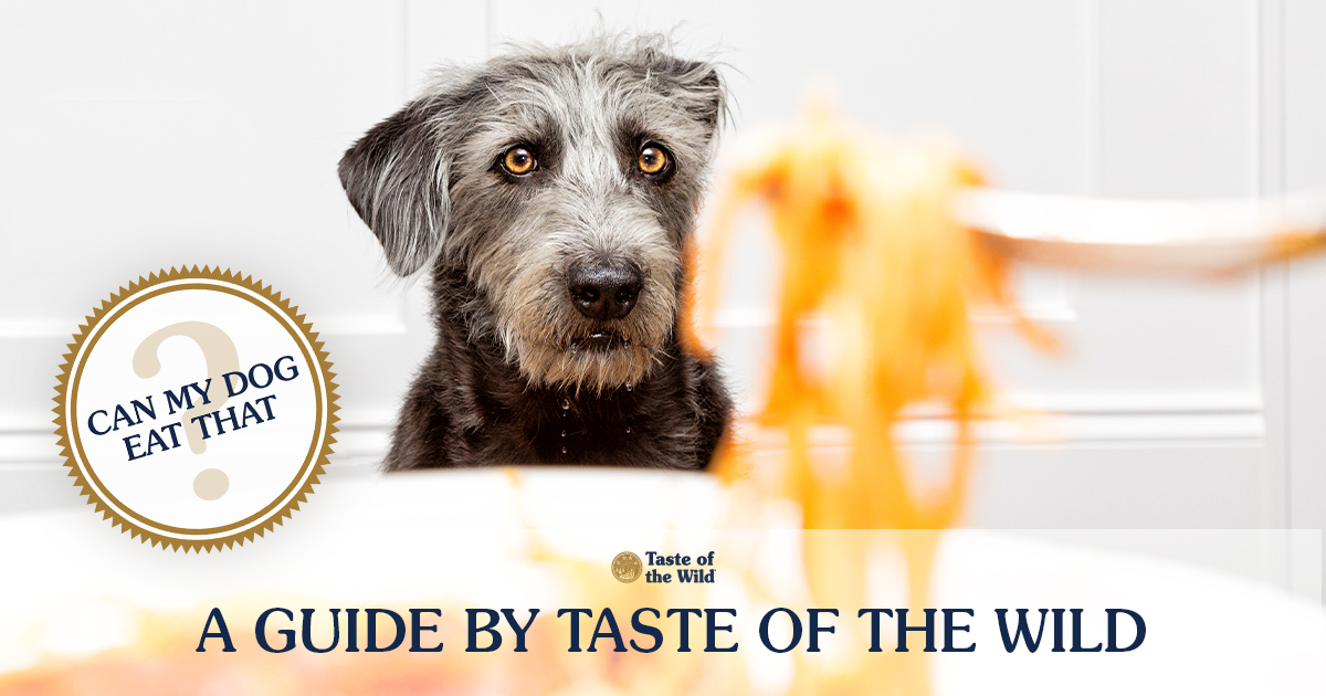 Dog Looking at Pasta text graphic | Taste of the Wild