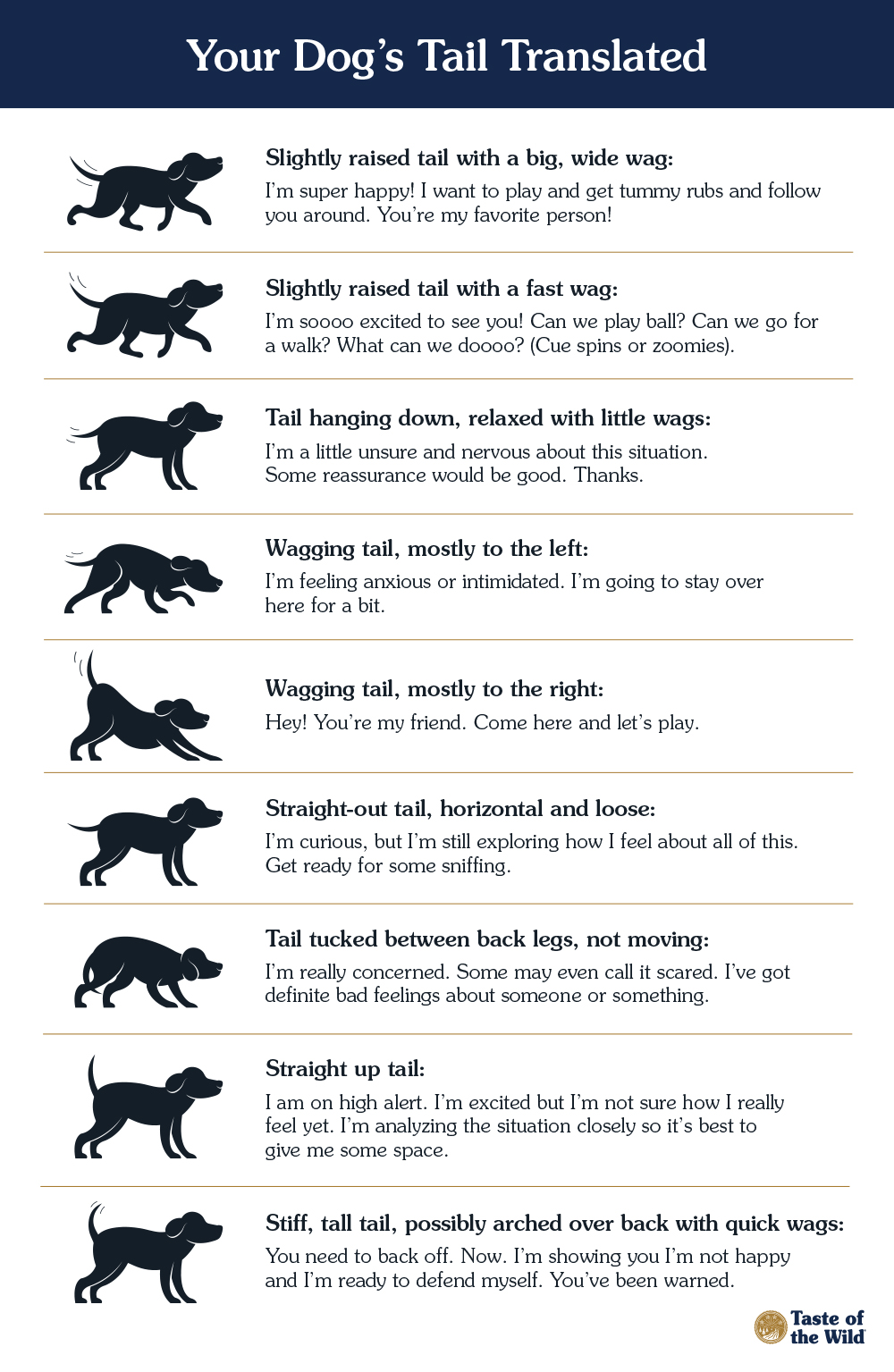 Your Dog’s Tail Translated Info Graphic | Taste of the Wild