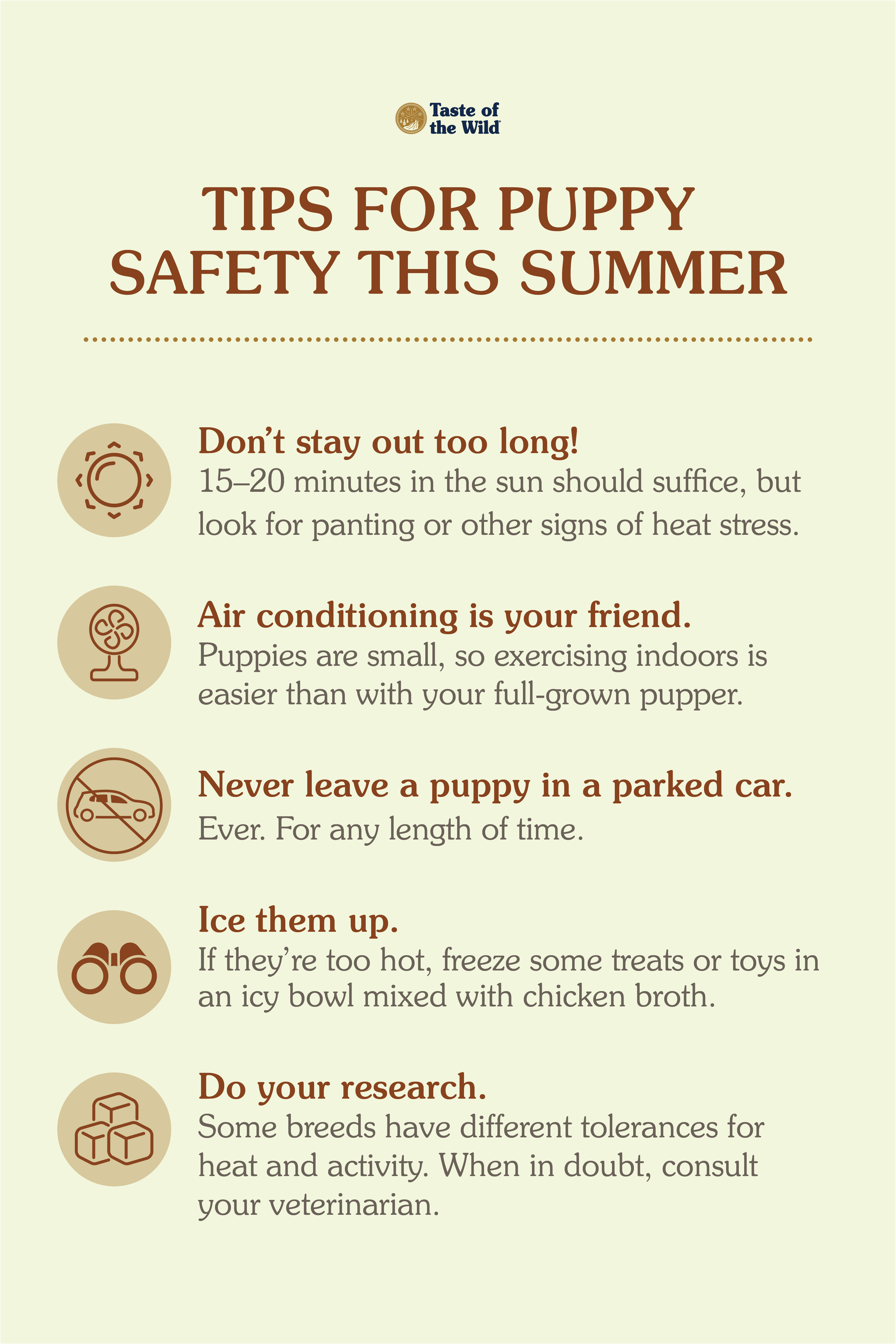 Summer Tips for Puppy Safety Info Graphic | Taste of the Wild