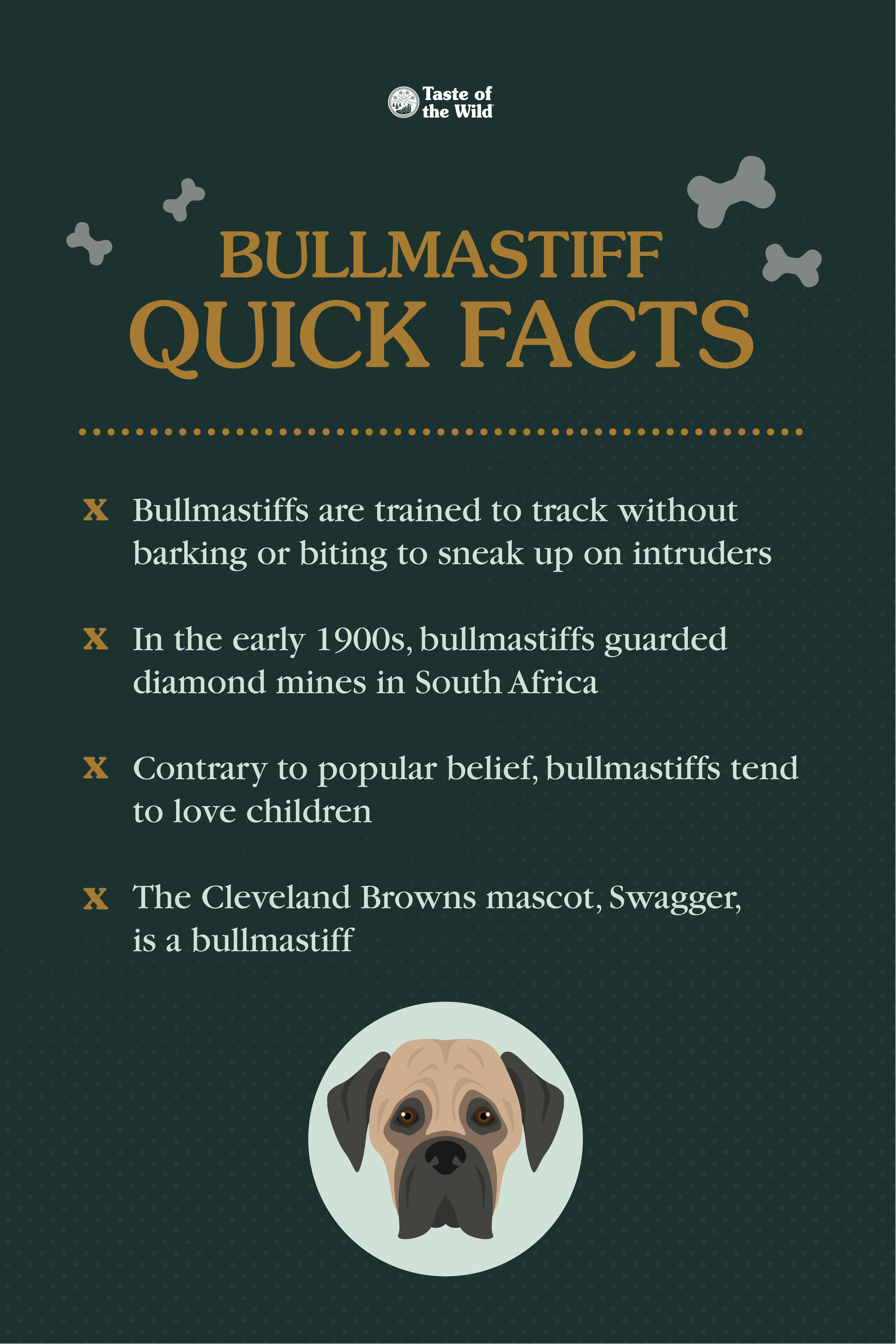 Bullmastiff Quick Facts Info Graphic | Taste of the Wild