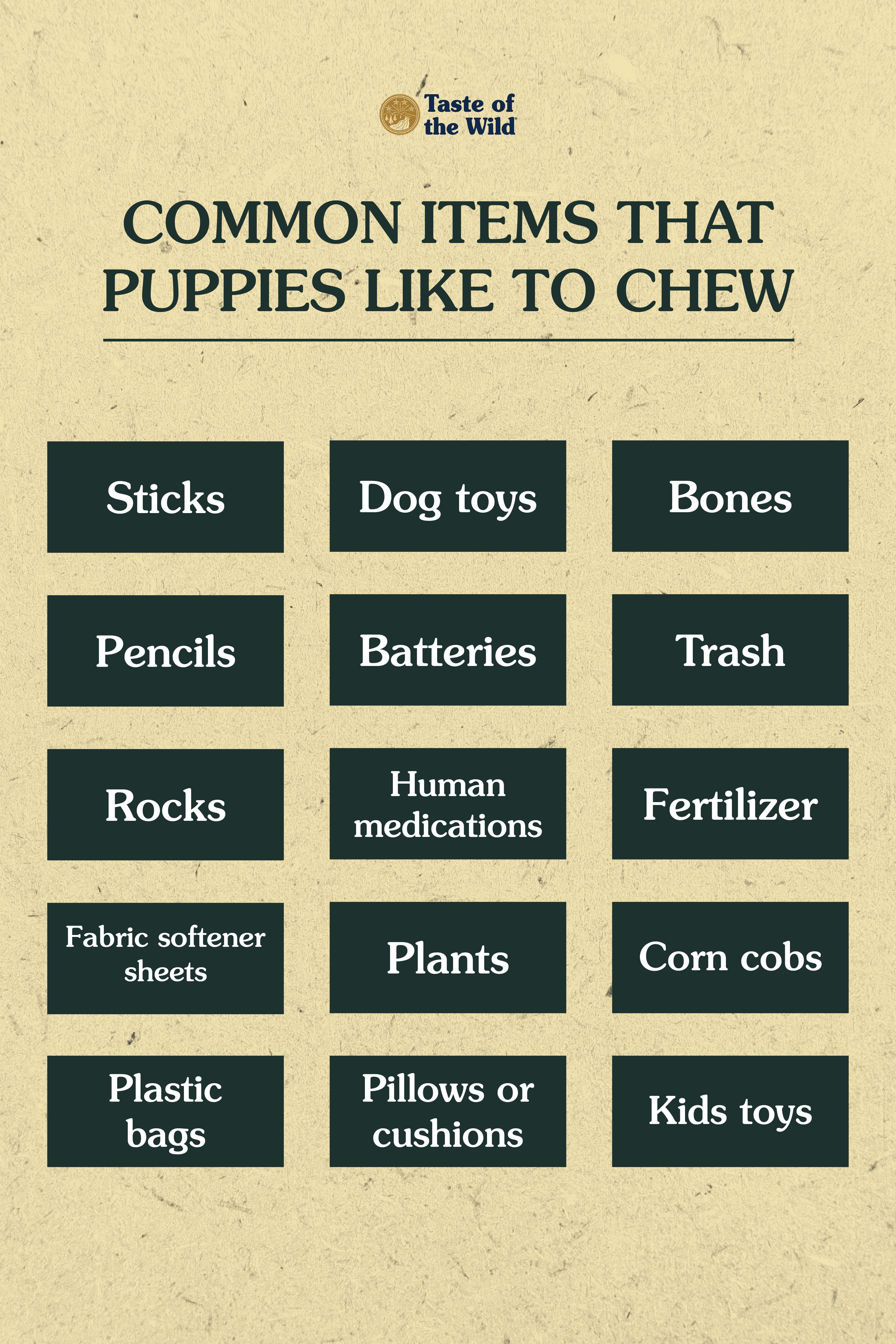 Common items that puppies like to chew. | Taste of the Wild
