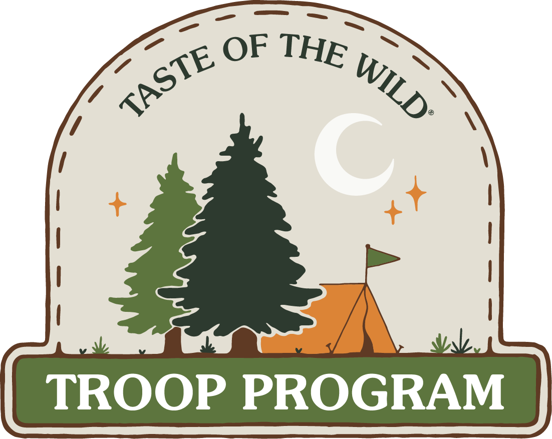 Troop Program Logo