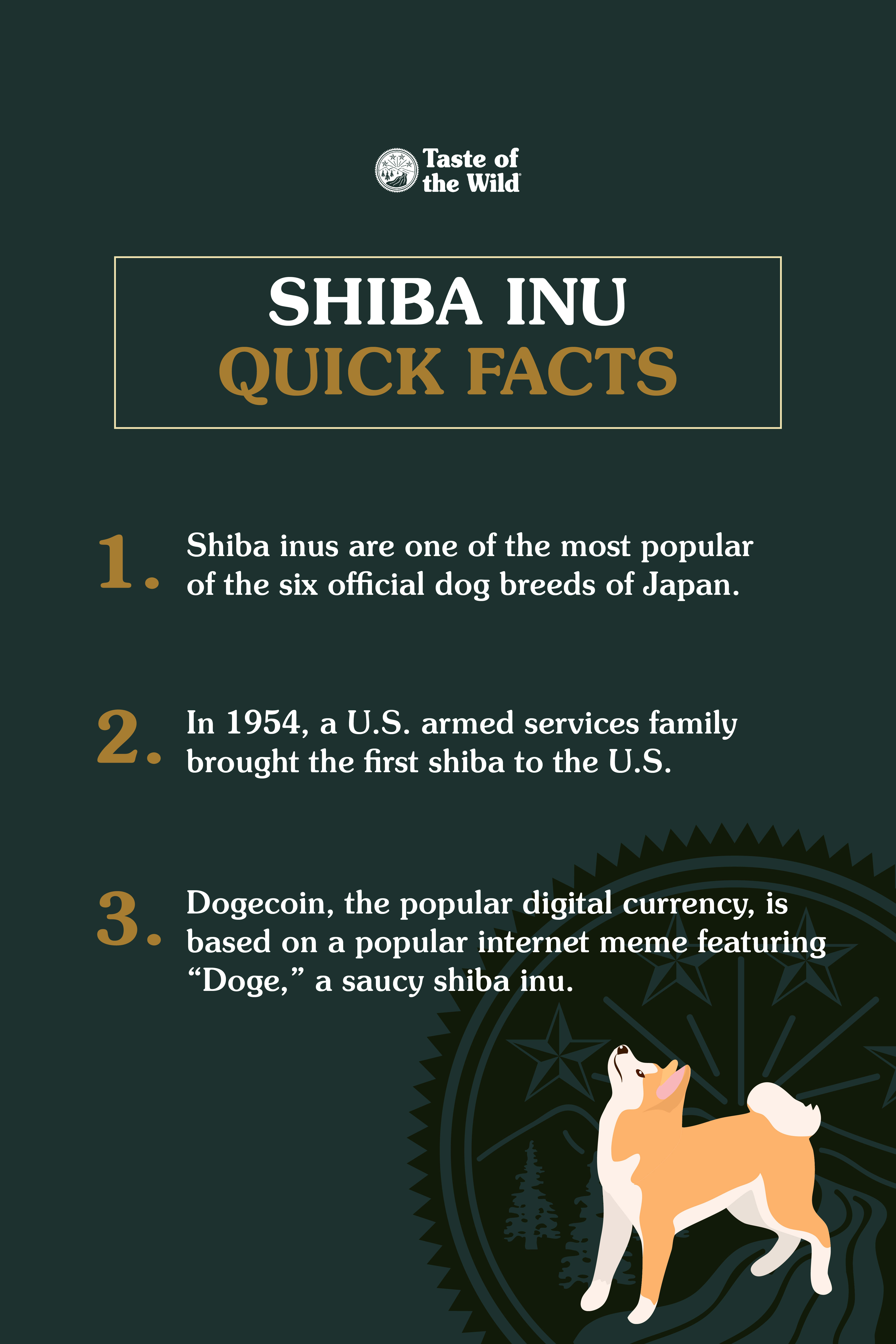 Shiba inu quick facts. | Taste of the Wild