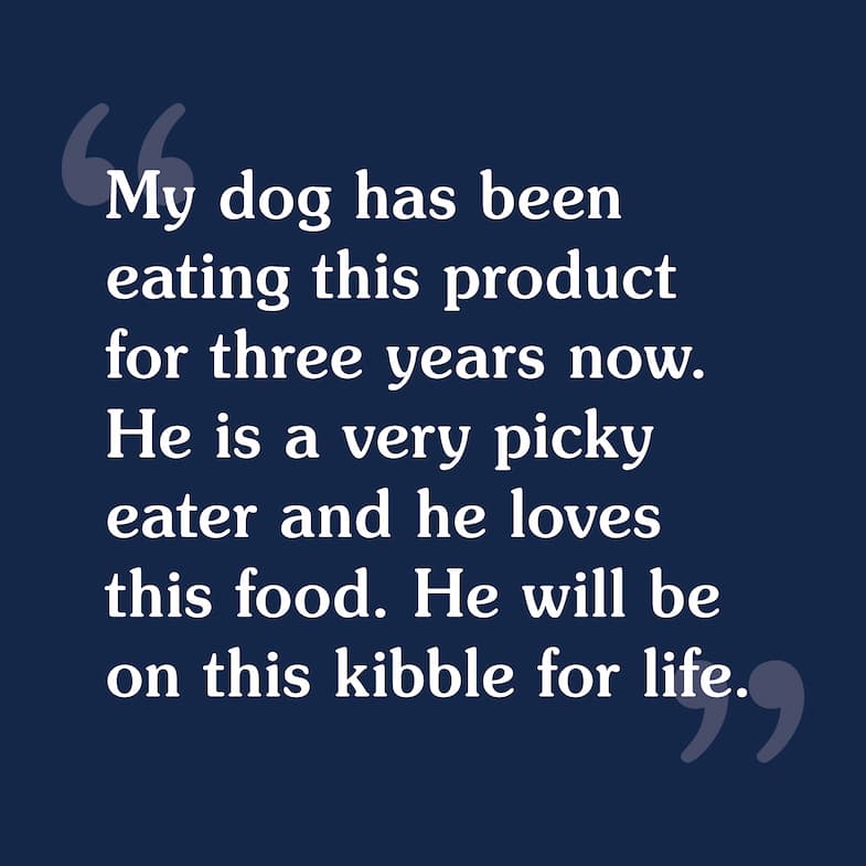 Text Review Image for Angus for Dogs | Taste of the Wild